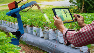 Automated irrigation in the field