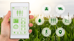 Sustainable farming practices