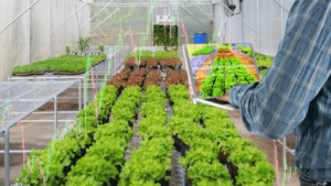 Training farmers in IoT systems
