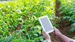 Collaboration on IoT implementation
