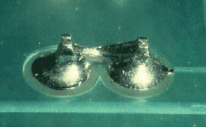 Solder bridge